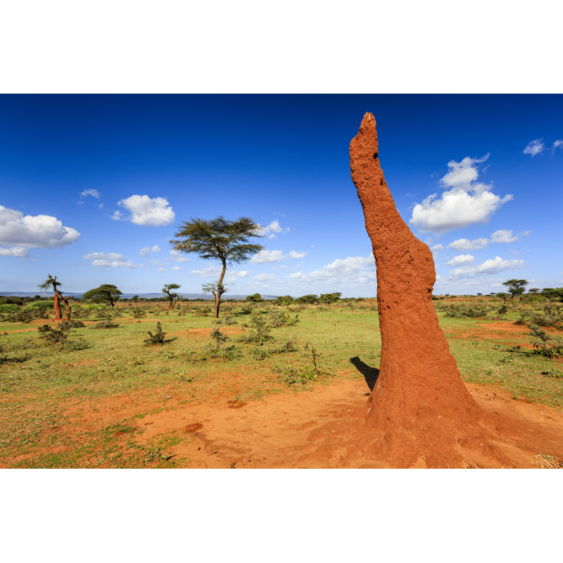 African Landscape 1 Piece Wrapped Canvas Wall Art, 30cm H x 46cm W x 3.8cm D