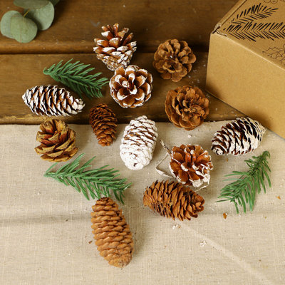 Wood Mixed Assortment Arrangement in Pot