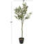 Plante artificielle contemporaine en pot
