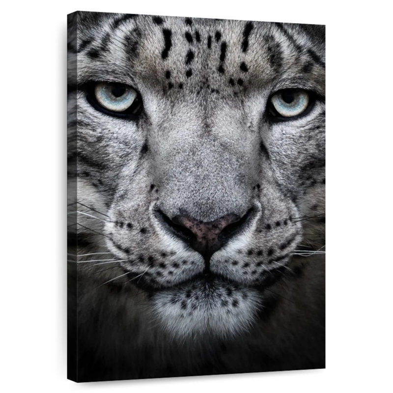 Brampt Snow Leopard Face, 24" H x 16" W