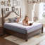 22cm  and 25cm Medium Feeling Pocket Sprung & Memory Foam Hybrid Mattress for Cool Comfort and Lasting Support-972391834-972391832