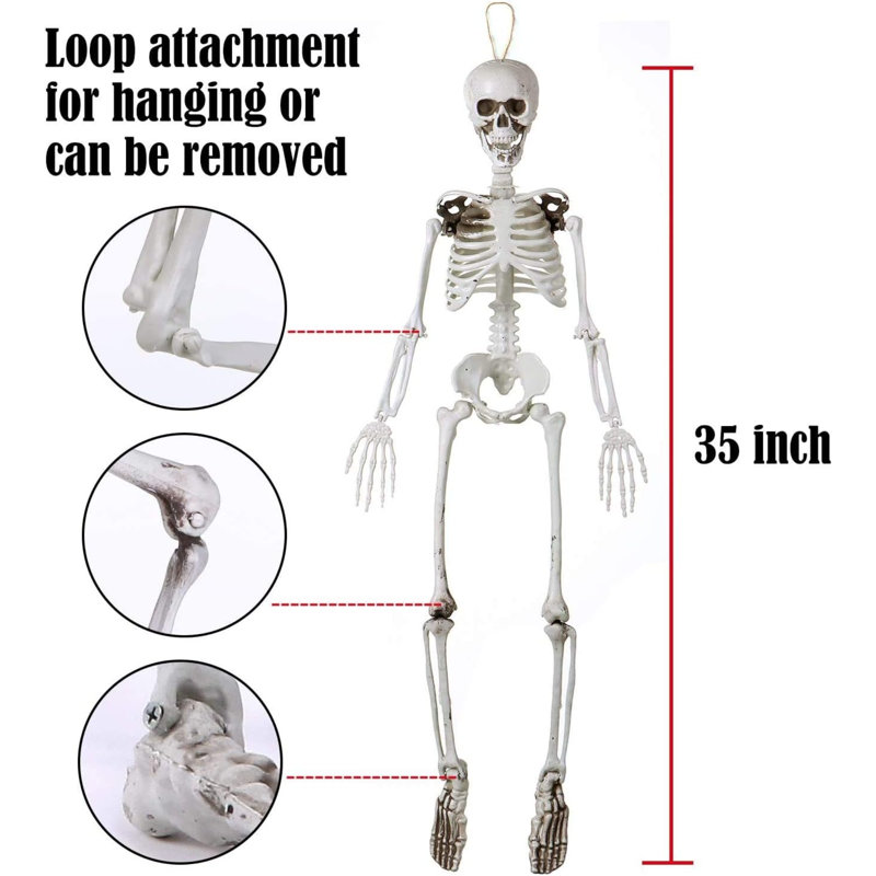 Squelette d'Halloween de 35 po, articulations du corps complet squelette en plastique avec articulations mobiles, parfait pour les décorations d'Halloween