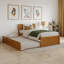 Solid Wood Storage Bed-96140348