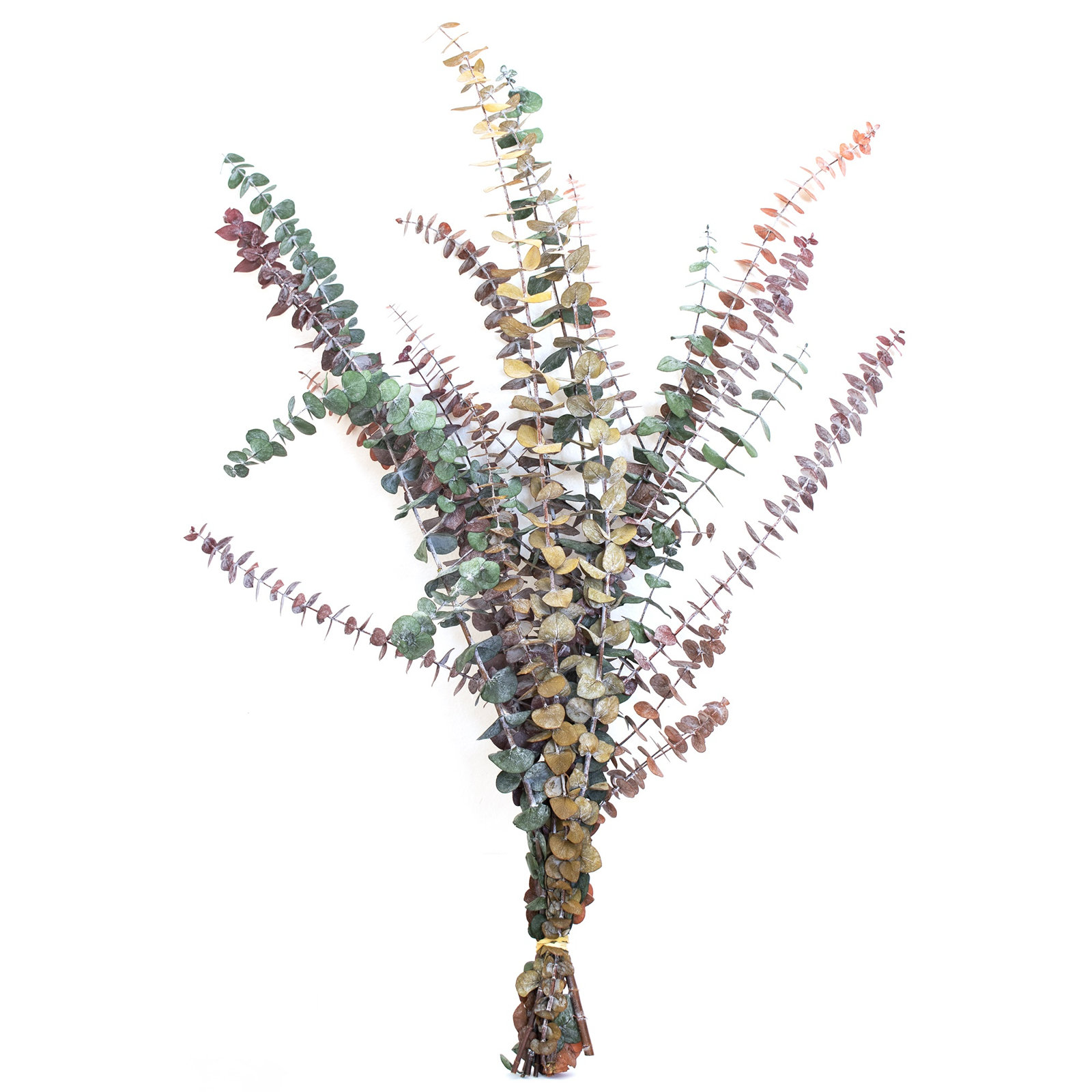30'' Branch, Multicolor