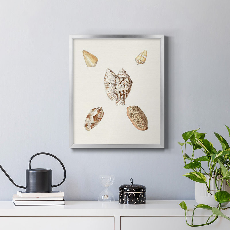 Toile encadrée Pastel Knorr Shells VI - prête à accrocher, Argent, H 24 po x l 20 po