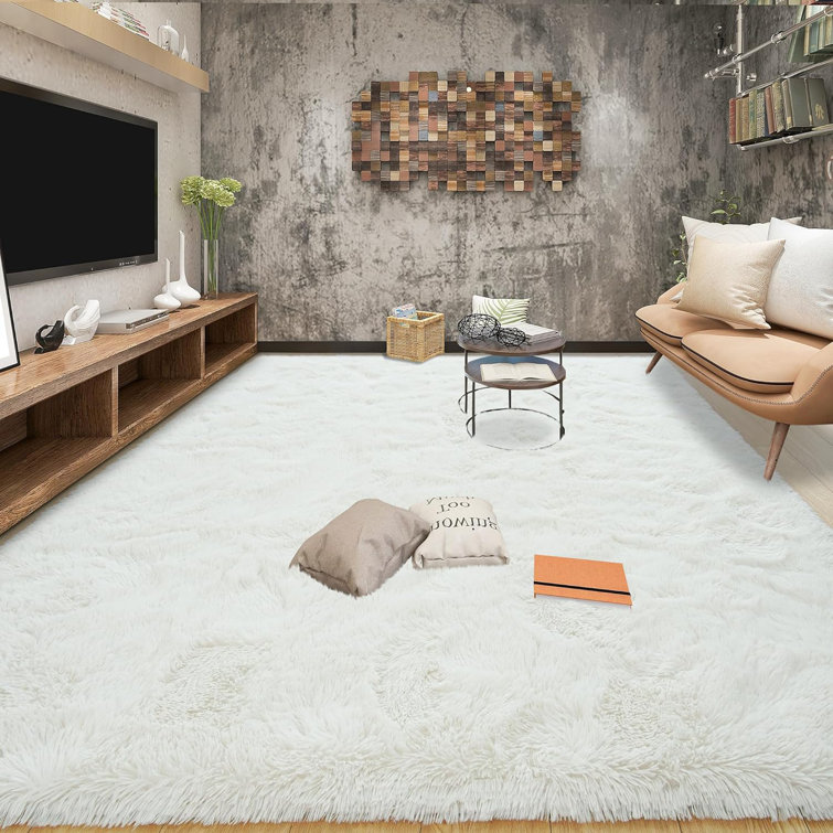 Super Soft Modern Indoor Rug Fuzzy Plush Carpet For Dorm Nursery Kids Room Home Decorative