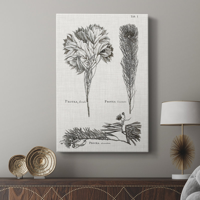 Protea on Linen noir et blanc - galerie Cavas sur mesure, H 18 po x l 12 po