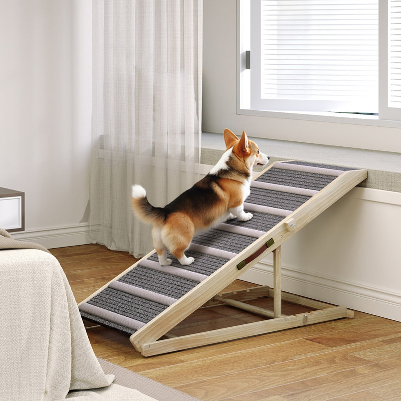 Rampe pliable pour petit et grand chien