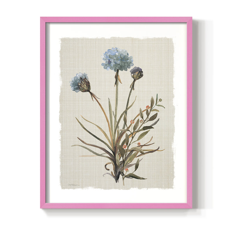 «Honeybloom Botanical I», reproduction encadrée - bois massif, Rose, H 21 po x l 17 po
