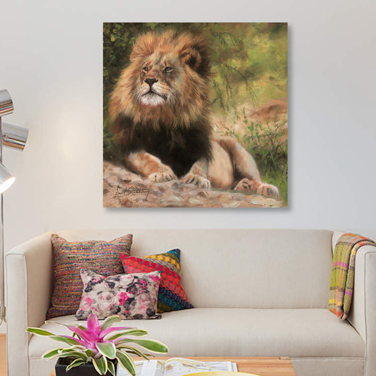 «Lion Laying Down», impression sur toile, H 26 po x l 26 po x P 1,5 po, Pas de tapis, Toile tendue