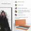 Simple chat noir sur toile-988107592