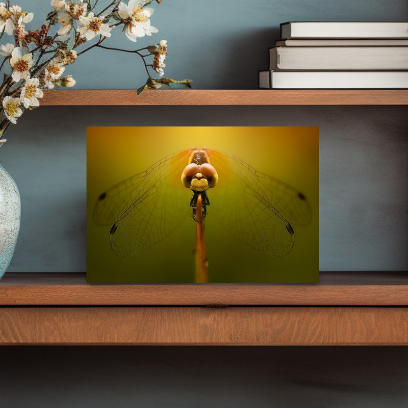 Golden Dragonfly Contemporary Dragonfly Wall Art Print 1 Piece Wrapped Canvas Wall Art, 30.48cm H x 45.72cm W