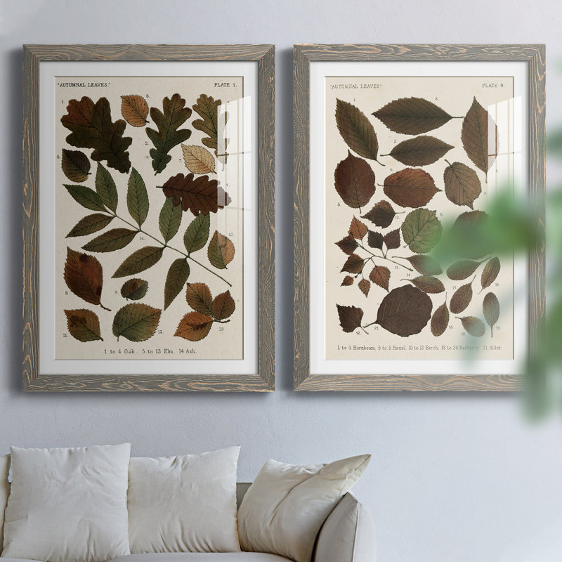Feuilles d'automne - ensemble de 2 reproductions d'art, Cadre en papier gris, H 20 po x l 17 po x P 1 po, Blanc