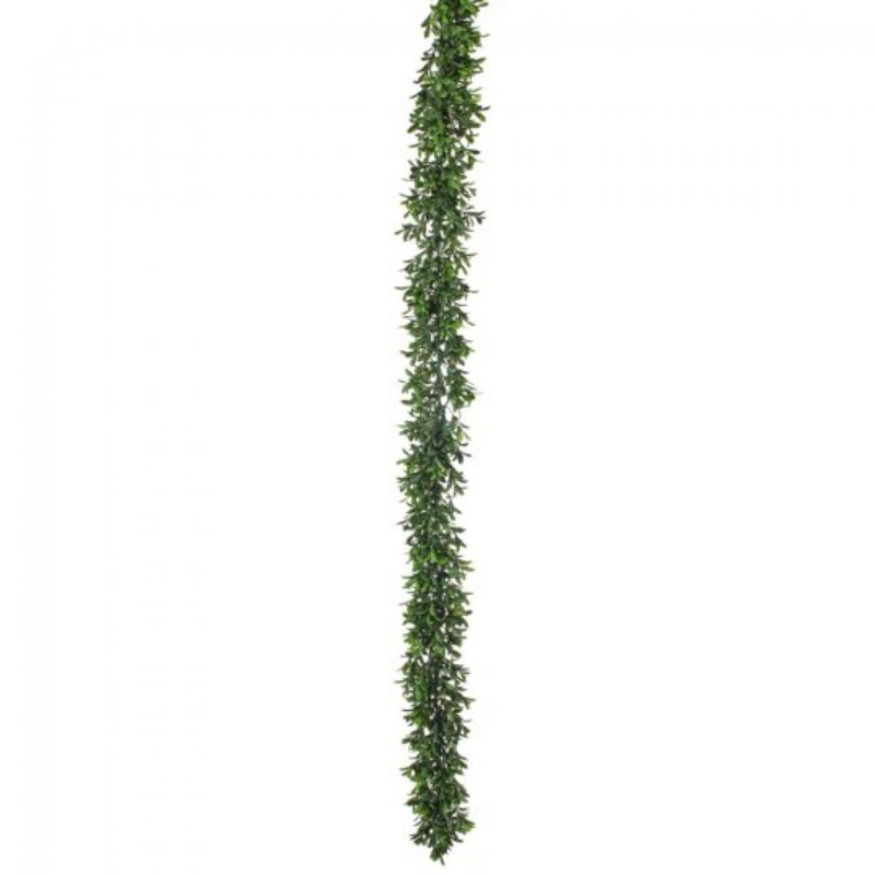 Guirlande American Boxwood