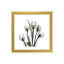 « doréy tulipes i » par albert koetsier,-print-49703859-49703861