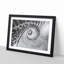 Spiral Staircase - Picture Frame Painting Print-56705269-56705270