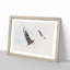 Pair of Flying Seagulls - Framed Print-56851880-56851881