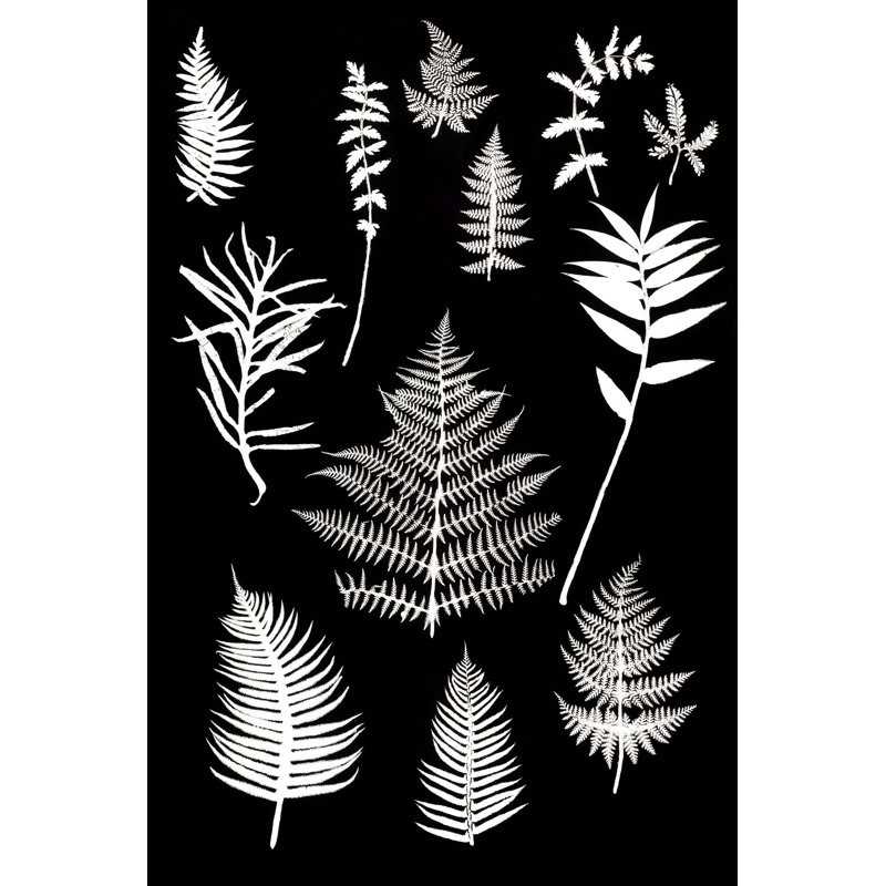 Botanical Collage 1 Print, 50" H x 33" W, Unframed