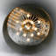 Lustre tambour clair en forme de saule-455194323-431601216