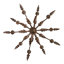 Josephine 10 - Light Chandelier