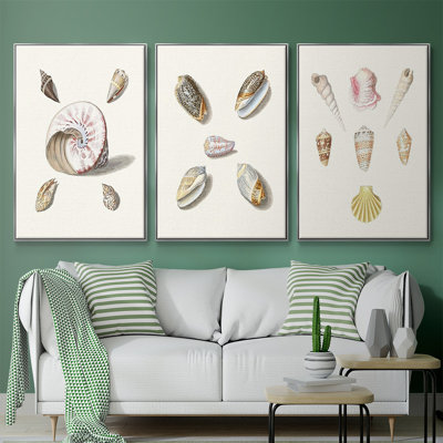 Pastel Knorr Shells I