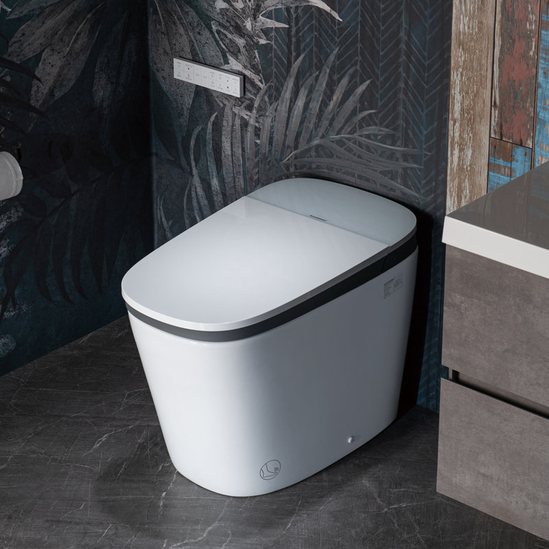 Lyon Smart Toilet with Voice Control, 1000g MaP Flush Score, Foam Shield, Moving Dryer, Blackout Flush, ADA Comfort Height, Auto Open & Close, Foot Sensor, Heated Seat, B0931S