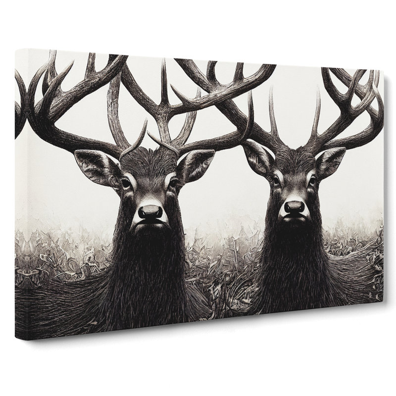 Enchanting Stags - Wrapped Canvas, 35cm H x 50cm W x 3cm D
