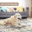Machine Washable Area Rugs For Living Room Non-Slip Backing Foldable Boho Floral Carpet Rugs-2000976806