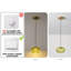 1 - Light Single Globe LED Pendant