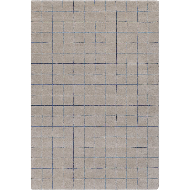 Mallory Gray Hand Tufted Area Rug, Rectangle 2' x 3'