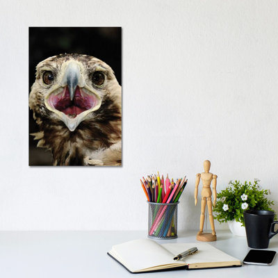 Eagle by Goran Anastasovski - Wrapped Canvas Print