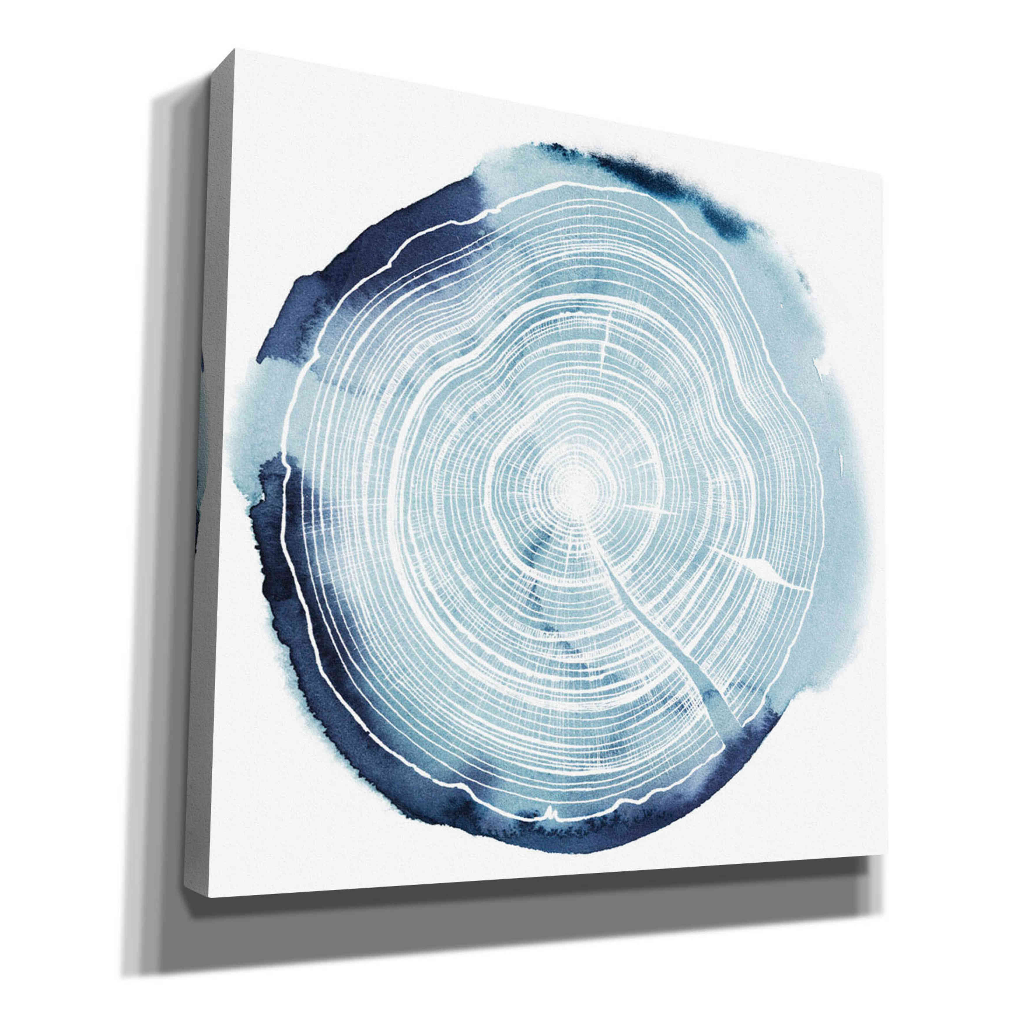 Loon Peak® 'Tree Ring Overlay III' By Grace Popp | Wayfair