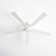 Tulsi 72'' Ceiling Fan with LED Lights