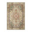 Oriental Indoor Rug