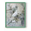 ANIMALS Series XXV III - reproduction encadrée de qualité supérieure - prête à être accrochée - aucun clou requis-569822754-569822758