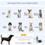 Collapsible Pet Carrier with 3 Doors-80154872-80154875