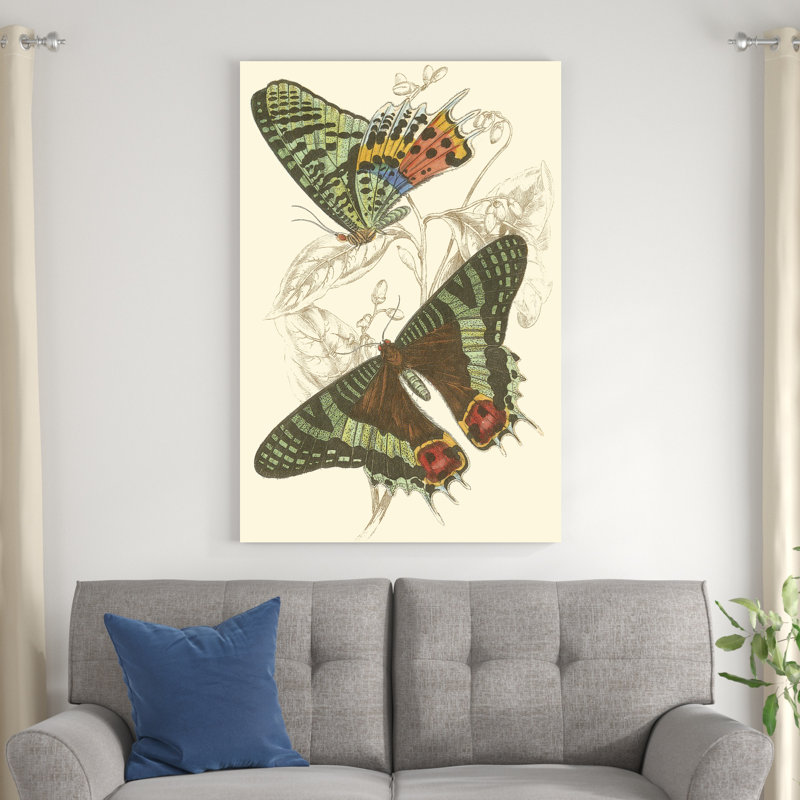 Jardine Butterflies IV, H 48 po x l 32 po x P 1 po