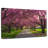 Harnek Brooklyn Park Cherry Blossoms-108913156