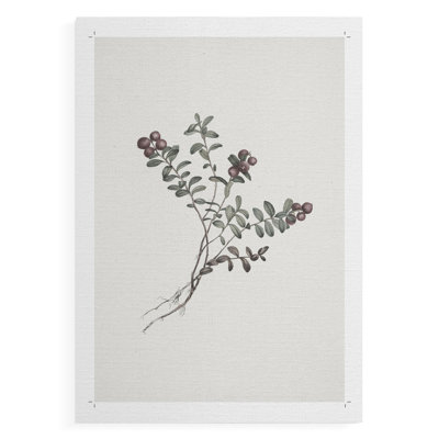 Imprimé floral rétro CLxxviii - impression sur toile seulement - non encadrée