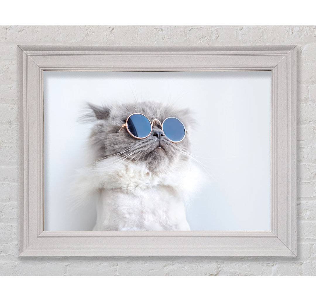 Die Katze mit Brille Gerahmter Druck