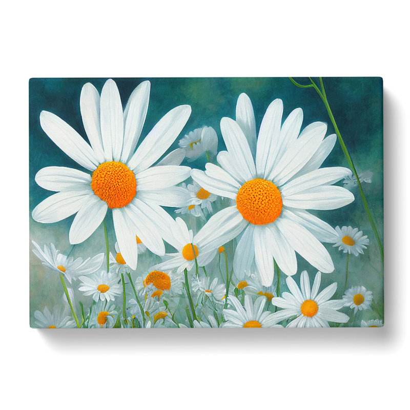 Daisy Flower Vol.1 - Wrapped Canvas, 35cm H x 50cm W x 3cm D