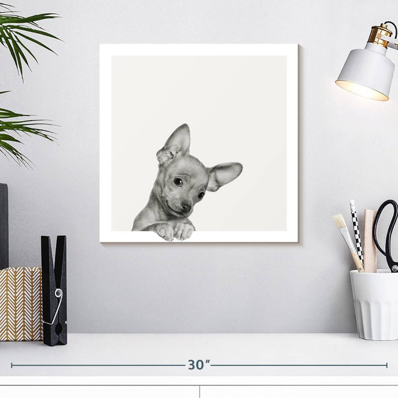 Crowle Sweet Chihuahua, H 16 po x l 16 po