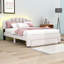 Lit plateforme avec rangement Layhew-1274506528