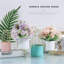 Peony Arrangement-173341931