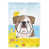 Bouledogue (beige et blanc)
