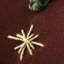 Fraser Fir Ruby Square Indoor/Outdoor Pillow Cover & Insert-1838523379-1838523389