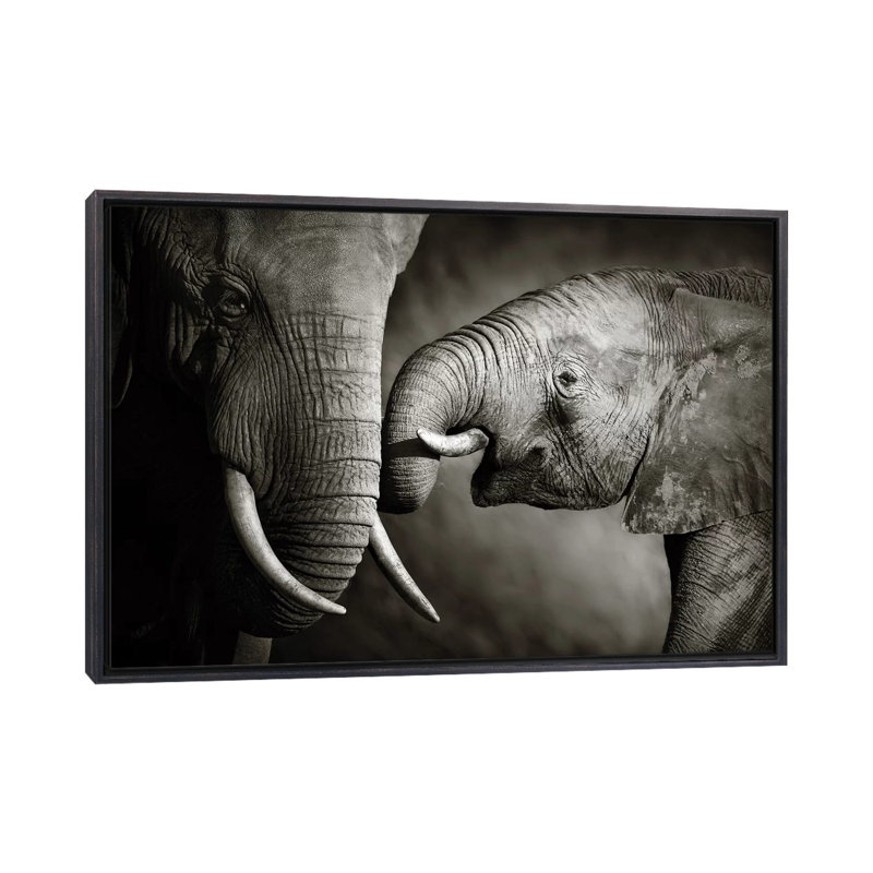" Elephant Affection " by Johan Swanepoel, 26" H x 40" W x 1.5" D, Distressed Black Framed Canvas