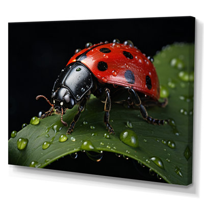 Red Ladybug Portrait I - Animals Wall Art Living Room