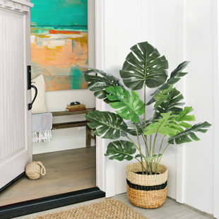 https://assets.wfcdn.com/im/05405481/resize-h310-w310%5Ecompr-r85/2129/212938081/Faux+Philodendron+Tree+in+Pot.jpg