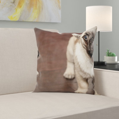 Coussin carlin